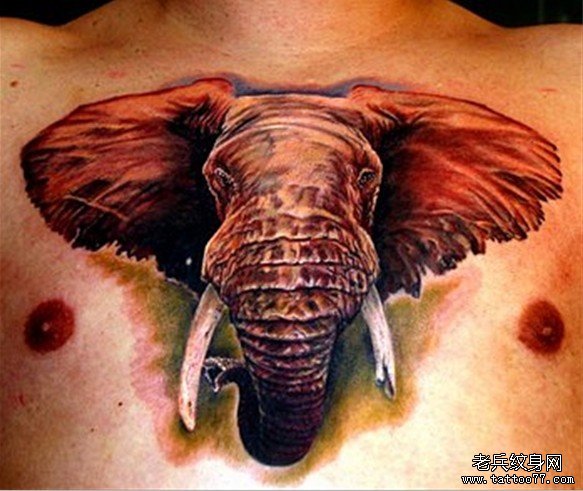 胸口上一款霸气大象纹身图案