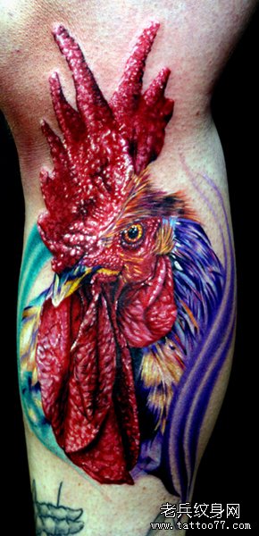 小腿上一款彩色公鸡纹身图案