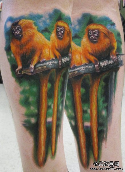 分享一款逼真的金丝猴纹身图案