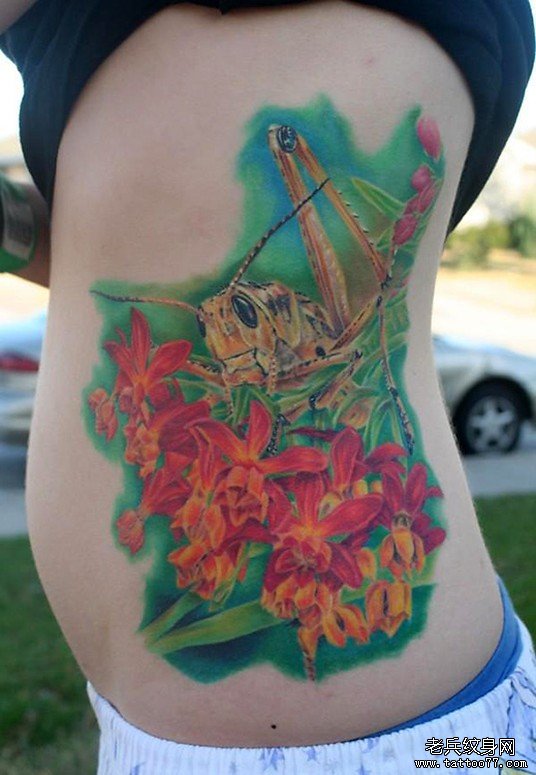 美女侧腰上一款彩色螳螂纹身图案