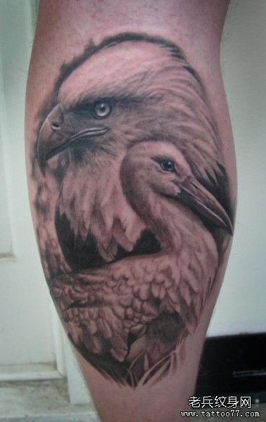 推荐一款小腿上的老鹰天鹅纹身作品
