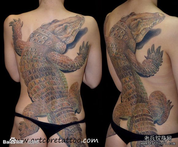 分享一款美女满背鳄鱼纹身图案