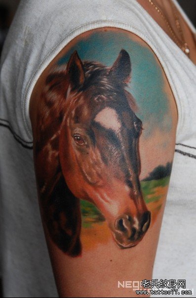 大臂上一款马头纹身图案