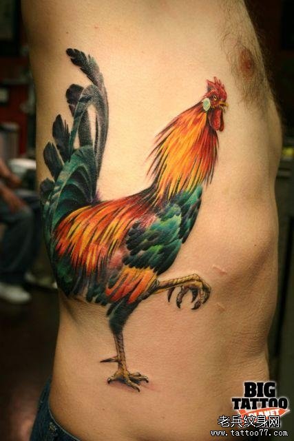 侧腰上一款公鸡纹身图案分享