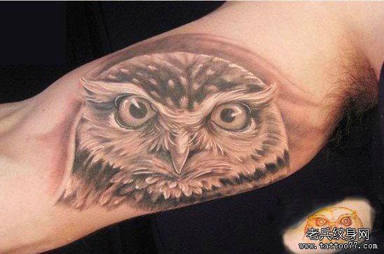 大臂内侧分享一款猫头鹰纹身图案