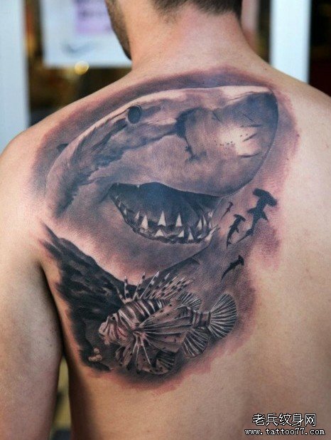 后背上一款鲨鱼纹身图案