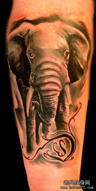 分享一款大象纹身图案