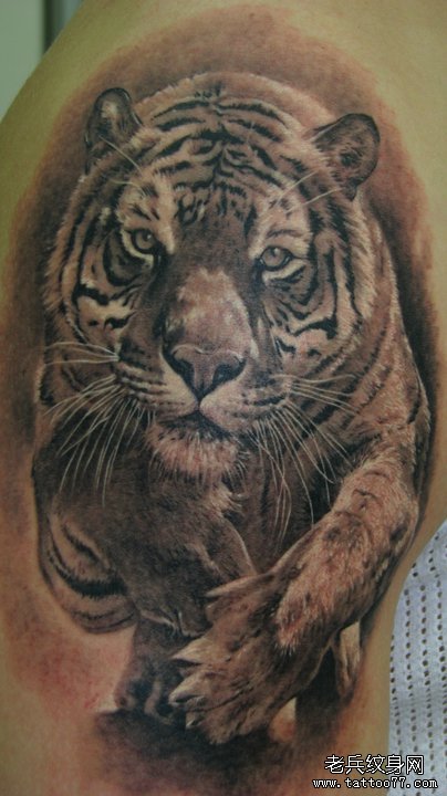 分享一款大臂小老虎纹身图案
