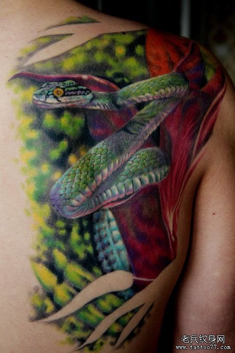后背上一款逼真的蛇纹身图片