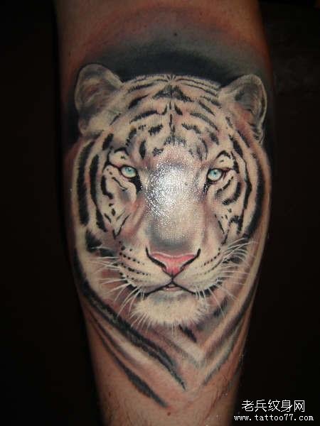 小腿上一款白色老虎纹身图案