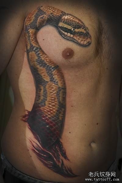 侧腰上逼真的蛇纹身图案分享