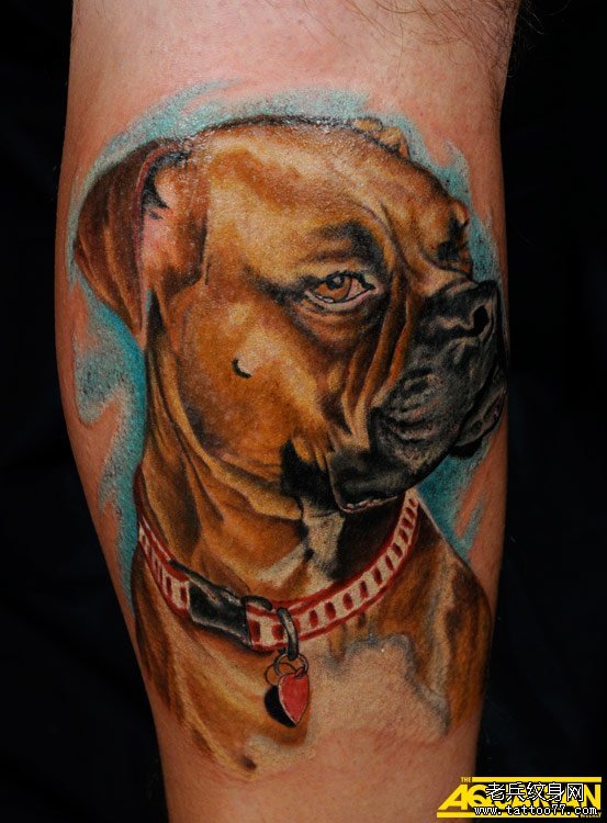 分享一款沙皮狗纹身图案