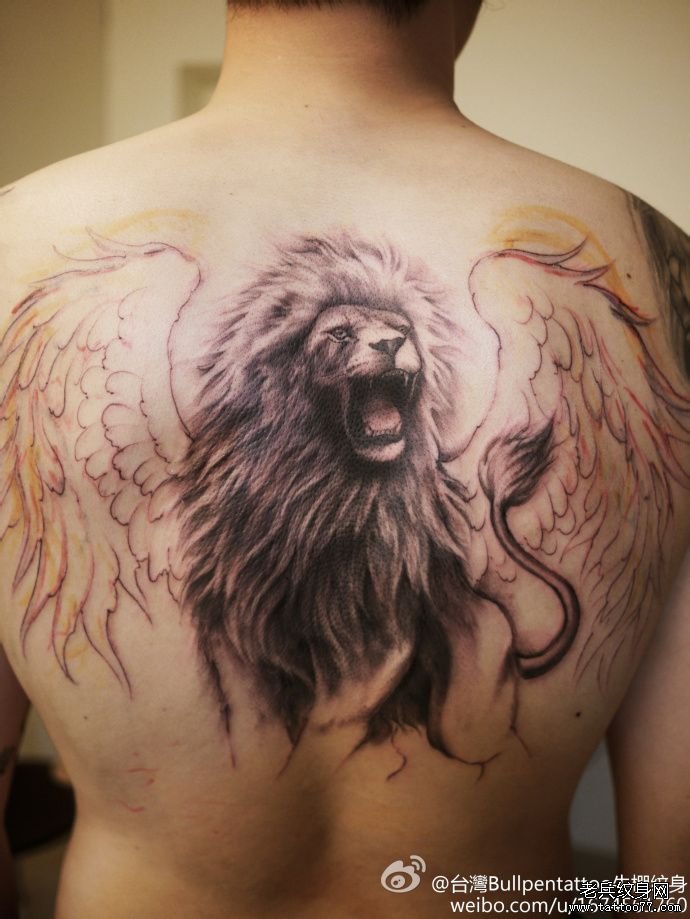 满背狮子纹身_满背狮子纹身,狮子满后背纹身