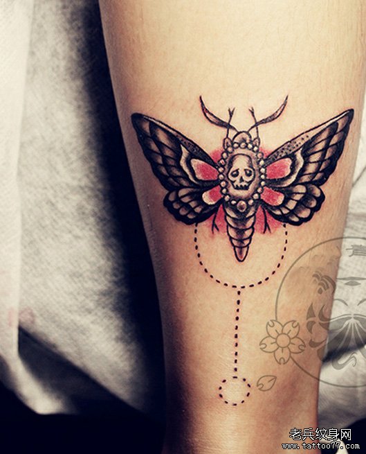 武汉最好的纹身网推荐一款腿部飞蛾纹身图案