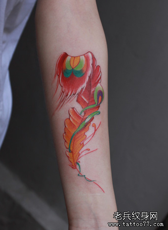 武汉纹身店推荐一款手臂彩色羽毛纹身图案