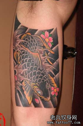 手臂彩色樱花鲤鱼纹身图案由武汉最好的纹身店推荐