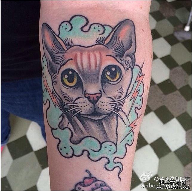 武汉纹身网推荐一款手臂猫咪纹身图案
