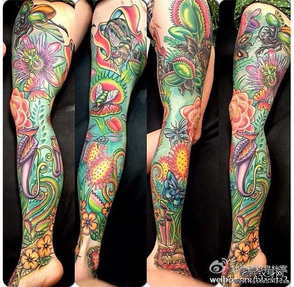 一款彩色花腿纹身图案由武汉纹身提供_武汉纹