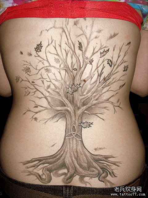 武汉刺青店提供一组树纹身图案