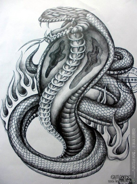 纹身 武汉/一组黑灰素描蛇纹身图案由武汉最好的刺青店提供图片