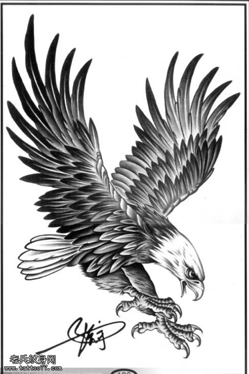 武汉最好的纹身店推荐一款老鹰纹身手稿图案