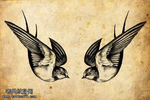 武汉最好的纹身店推荐一款燕子纹身手稿图案_