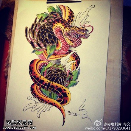 彩色蛇鱼牡丹纹身手稿图案由武汉刺青提供_武