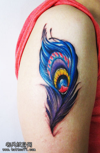 小清新胳膊彩色羽毛纹身图案