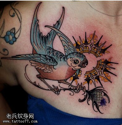 女性彩色鸟类纹身图案