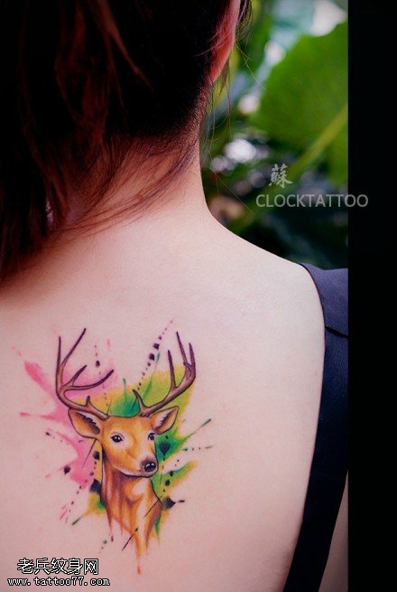 女性背部彩色羚羊纹身图案