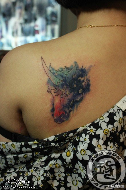 女性肩部彩色星空马纹身图案