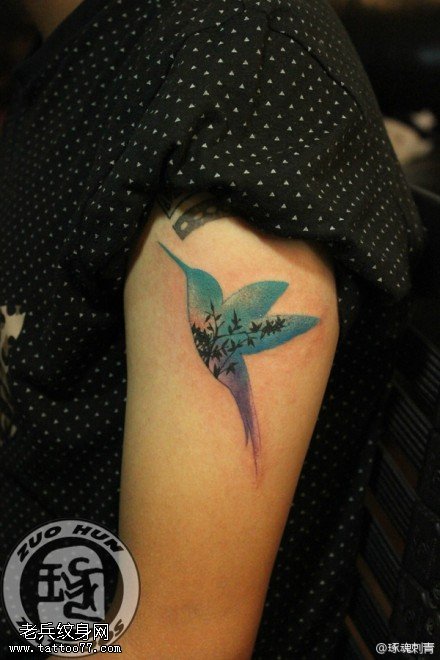 女性手臂彩色蜂鸟纹身图案