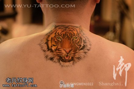 背部老虎纹身图案