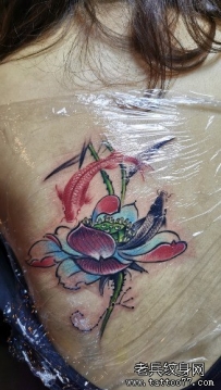 小姐姐的旧纹身遮盖国画莲花锦鲤