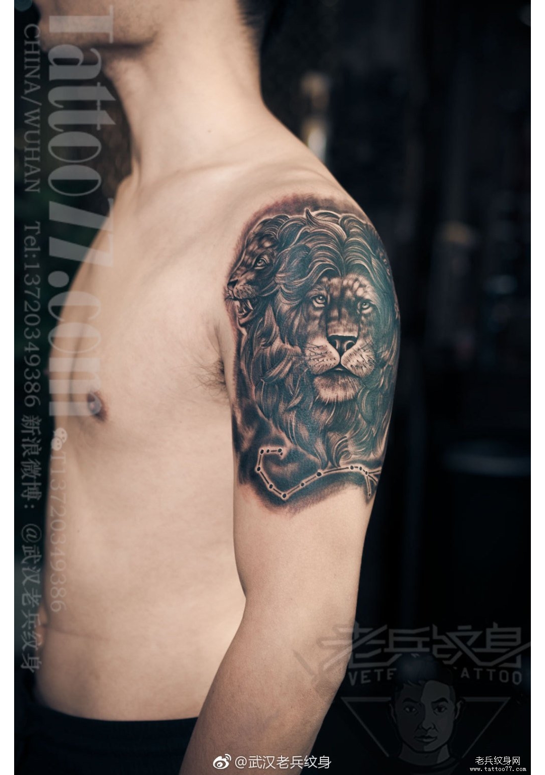 大臂黑灰写实狮子纹身