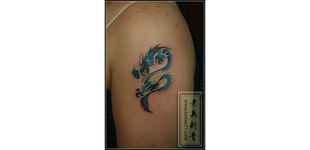 一副来自武昌纹身爱好者的大臂彩色图腾龙纹身图案作品欣赏 ... ...