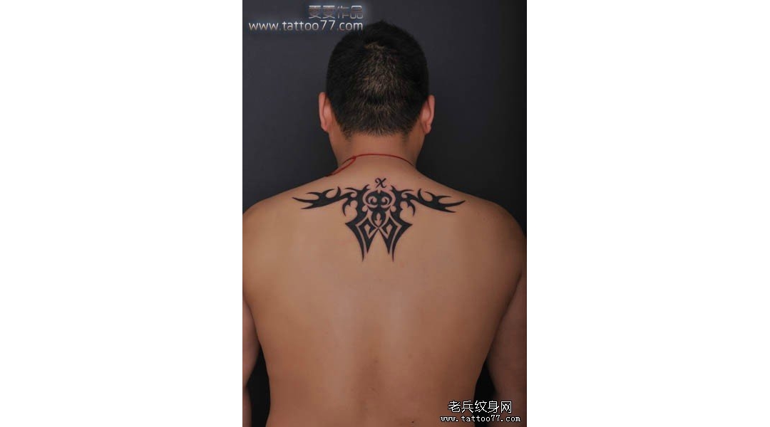 武汉专业纹身：后背帅气的图腾纹身图案作品