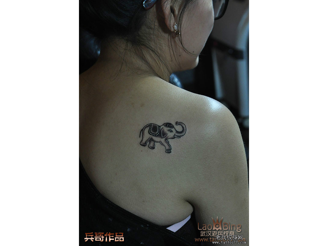 武汉老兵纹身最新出炉的美女肩背小象纹身图案作品