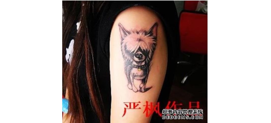 武汉纹身培训学校学员在校期间大臂黑灰狗纹身作品