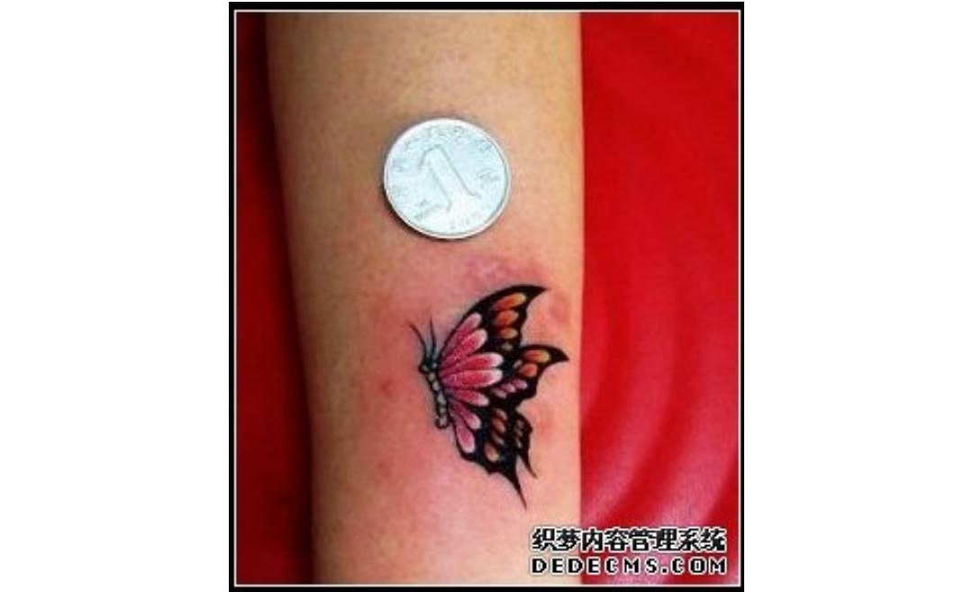 武汉文身培训学校学员在校期间手臂色彩蝴蝶纹身作品