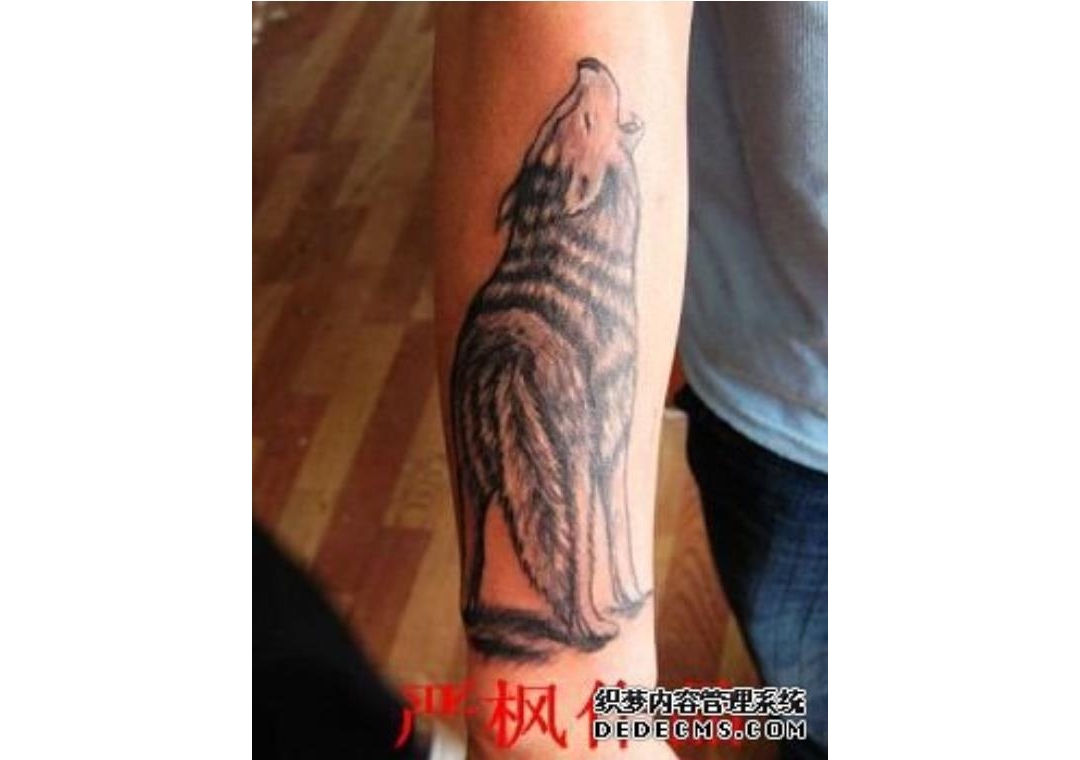 武汉纹身培训学校学员在校期间小臂黑灰狼纹身作品
