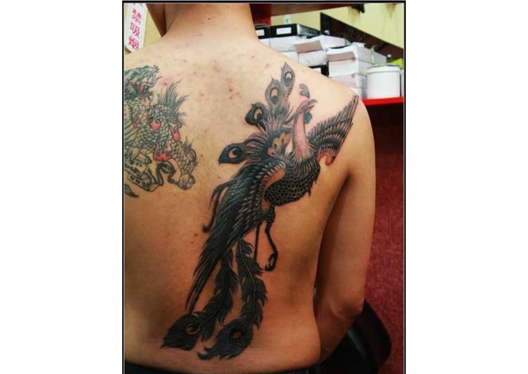 武汉纹身培训学校学员在校期间背部凤凰纹身作品