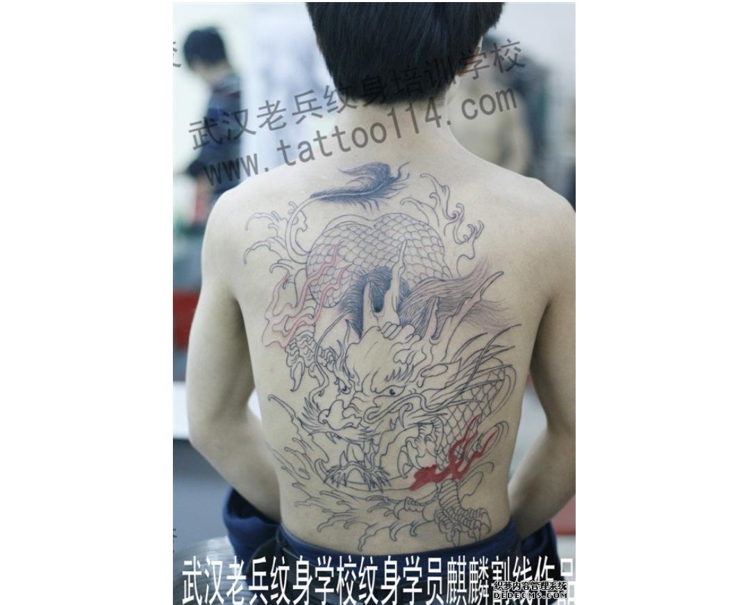 武汉老兵纹身培训学员背部麒麟文身作品
