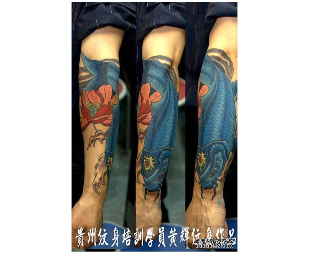 贵州纹身培训学员在校期间小臂色彩鲤鱼文身作品