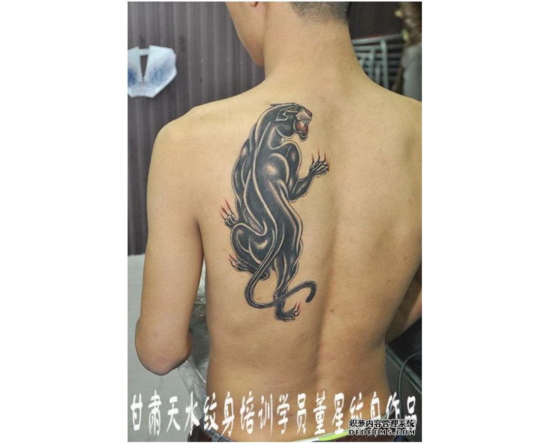甘肃天水纹身学员董星在校期间背部豹子纹身作品