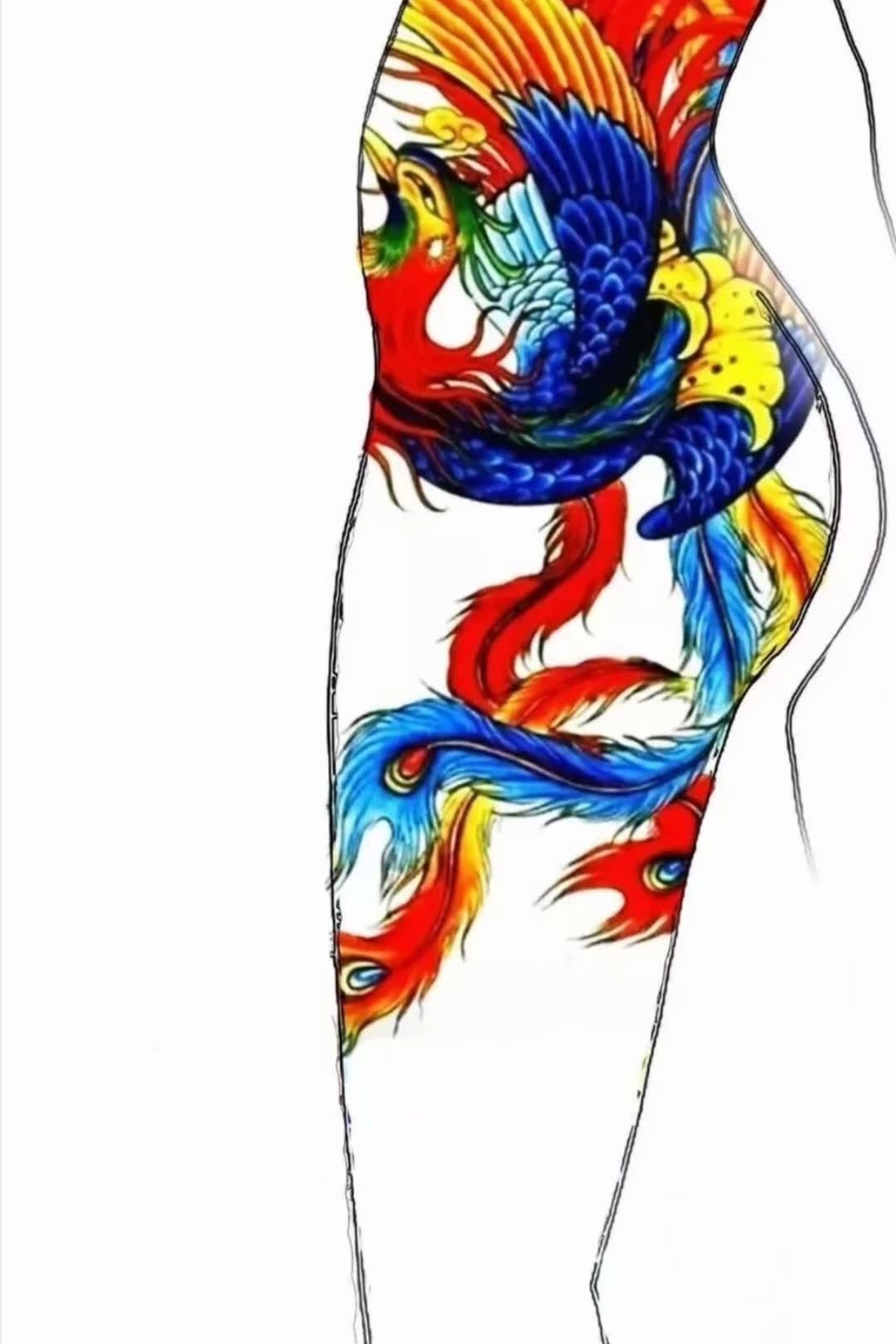 2020年抖音网红版新传统大花腿彩色凤凰纹身手稿图片