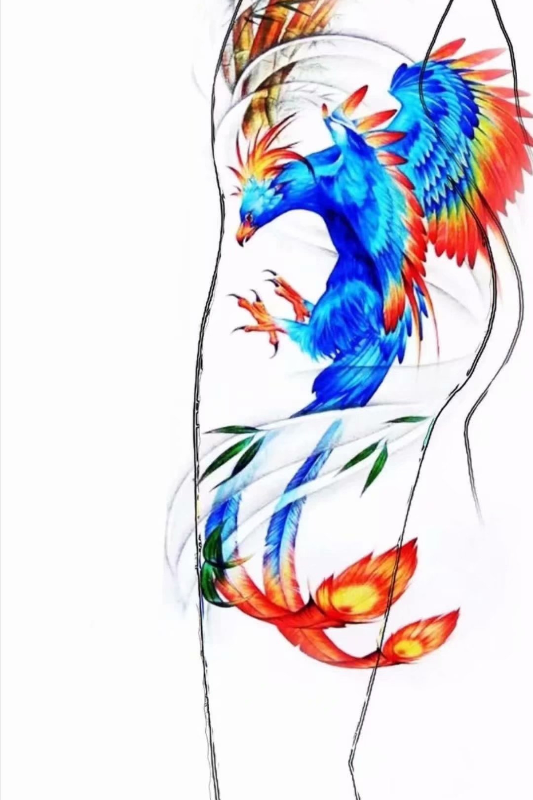 2020年抖音网红版新传统大腿侧面彩色蓝色朱雀纹身手稿图片