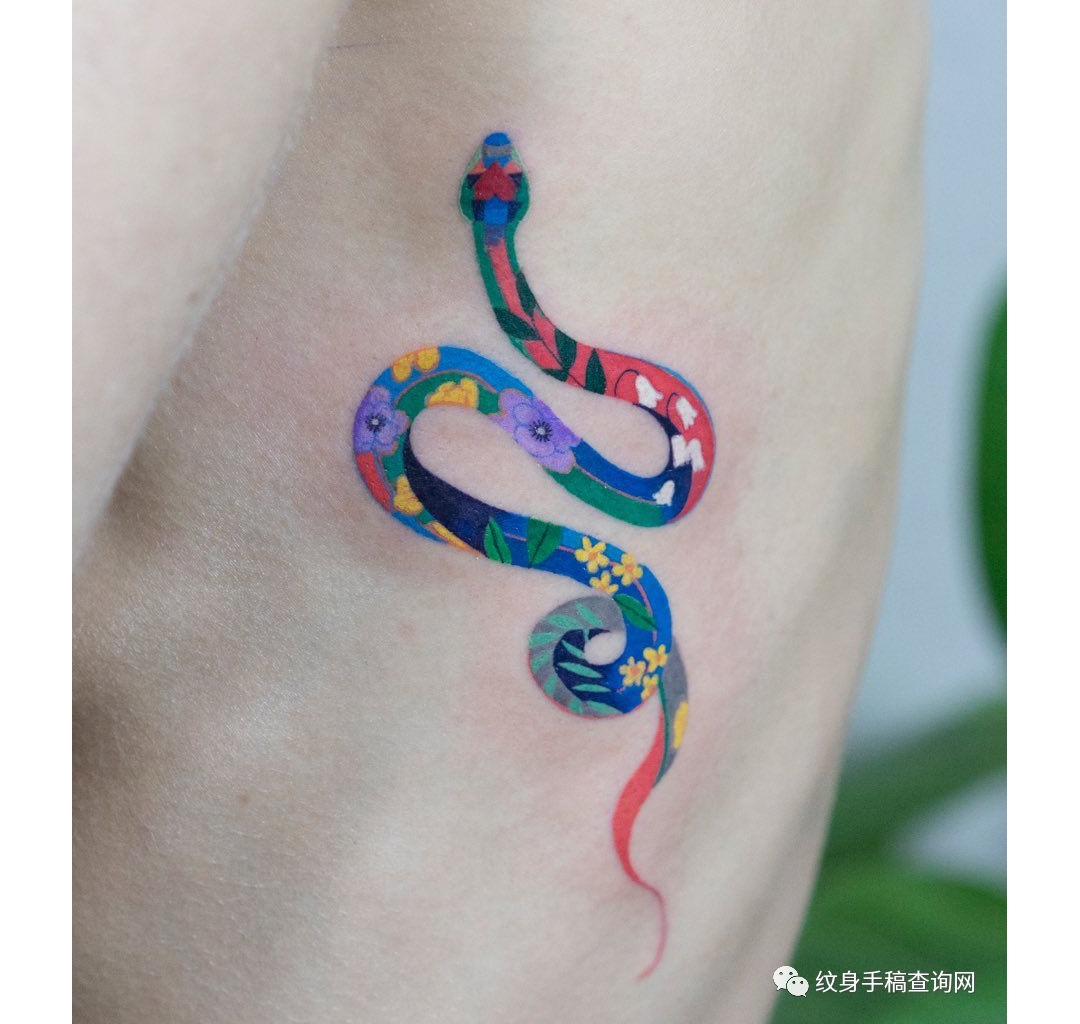 20张几句个性的小彩色蛇纹身作品图片分享大全集