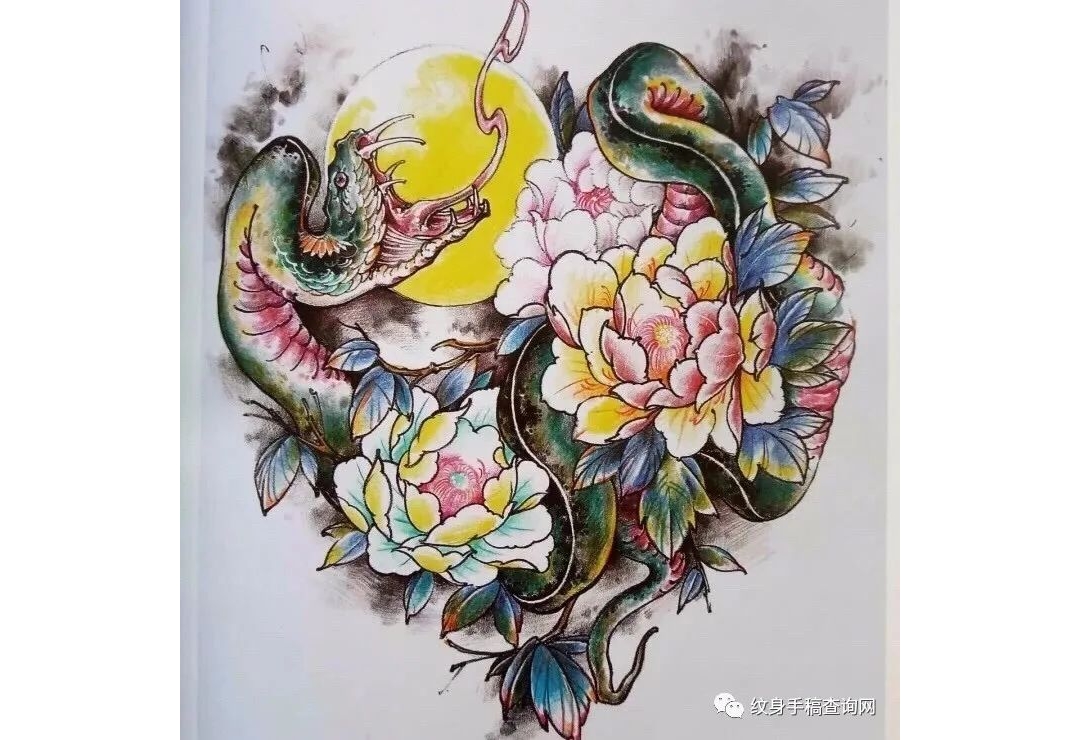 欧美传统3d蛇牡丹水浪蛇纹身手稿图案大合集图片