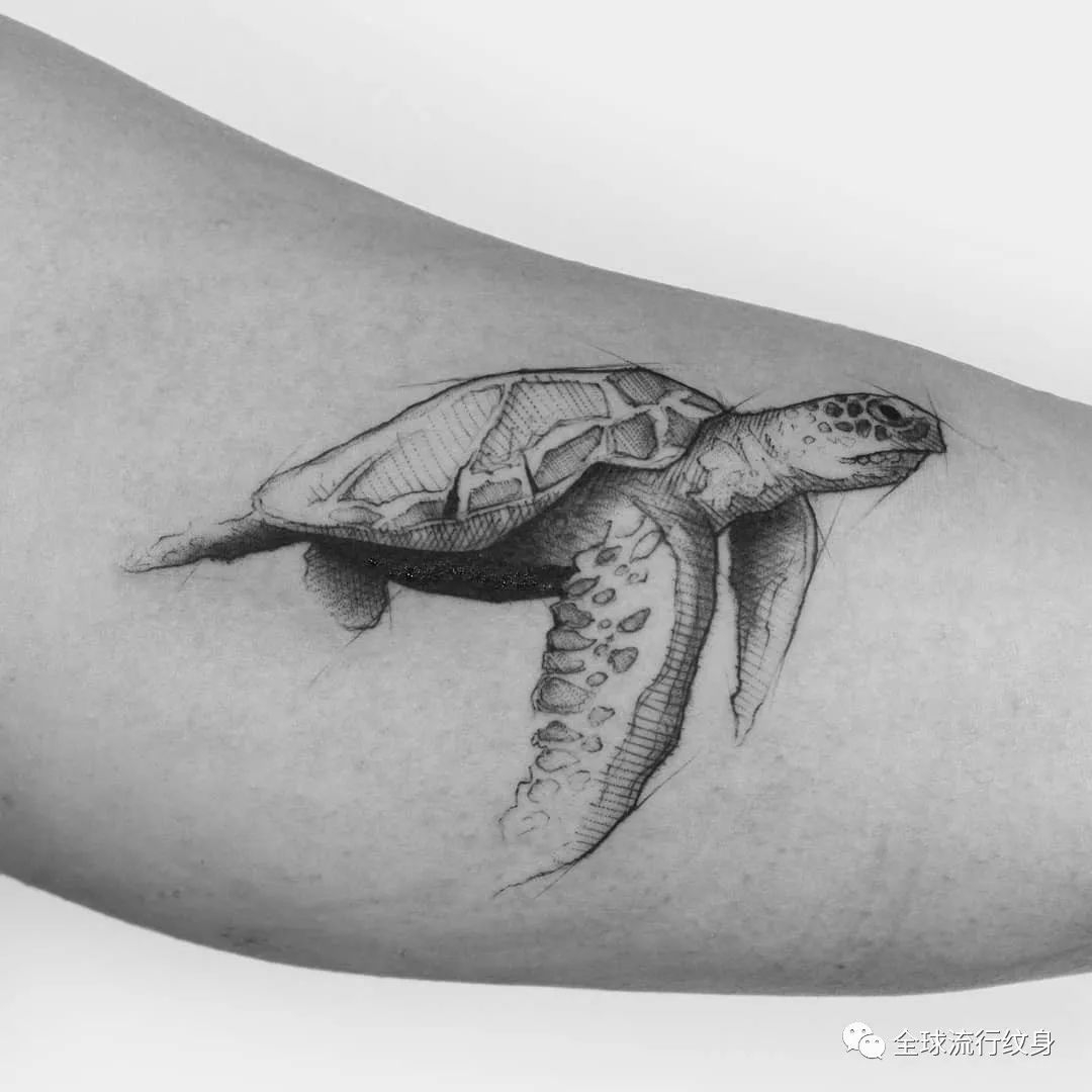 纹身图案素材:长寿乌龟 龟图片大全集